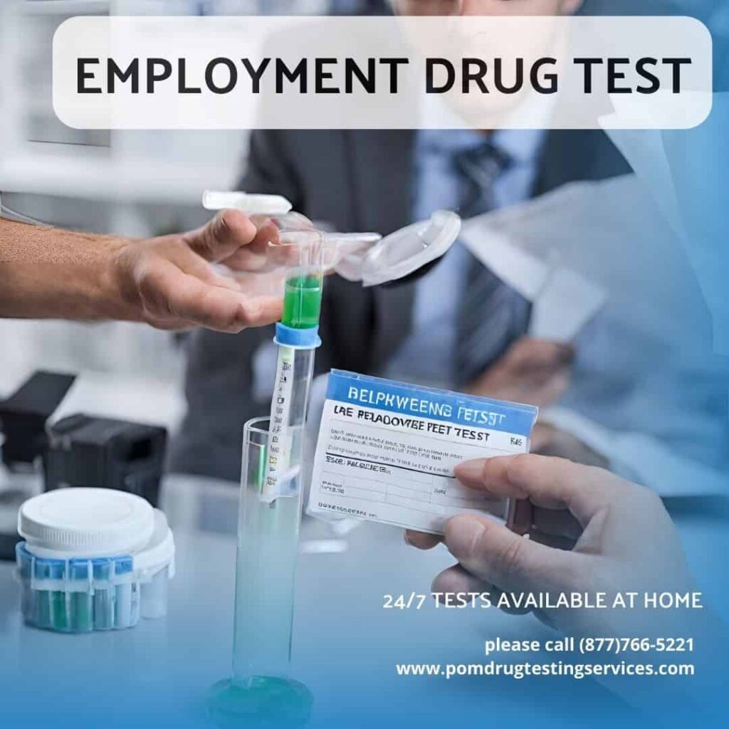 Background checks for employment